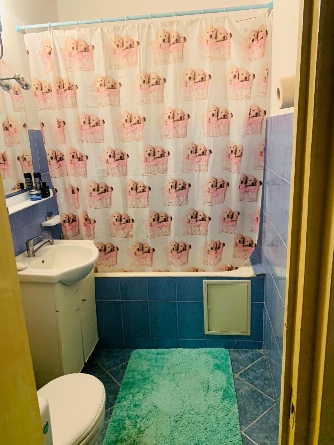 Apartment Iasi Ngoại thất bức ảnh